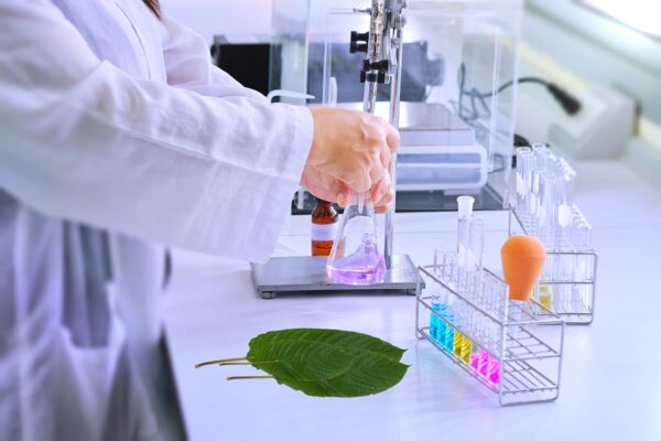 scientist-working-at-the-laboratory-with-color-liquids-in-glassware-and-Mitragyna-speciosa-(kratom)-plant-on-table