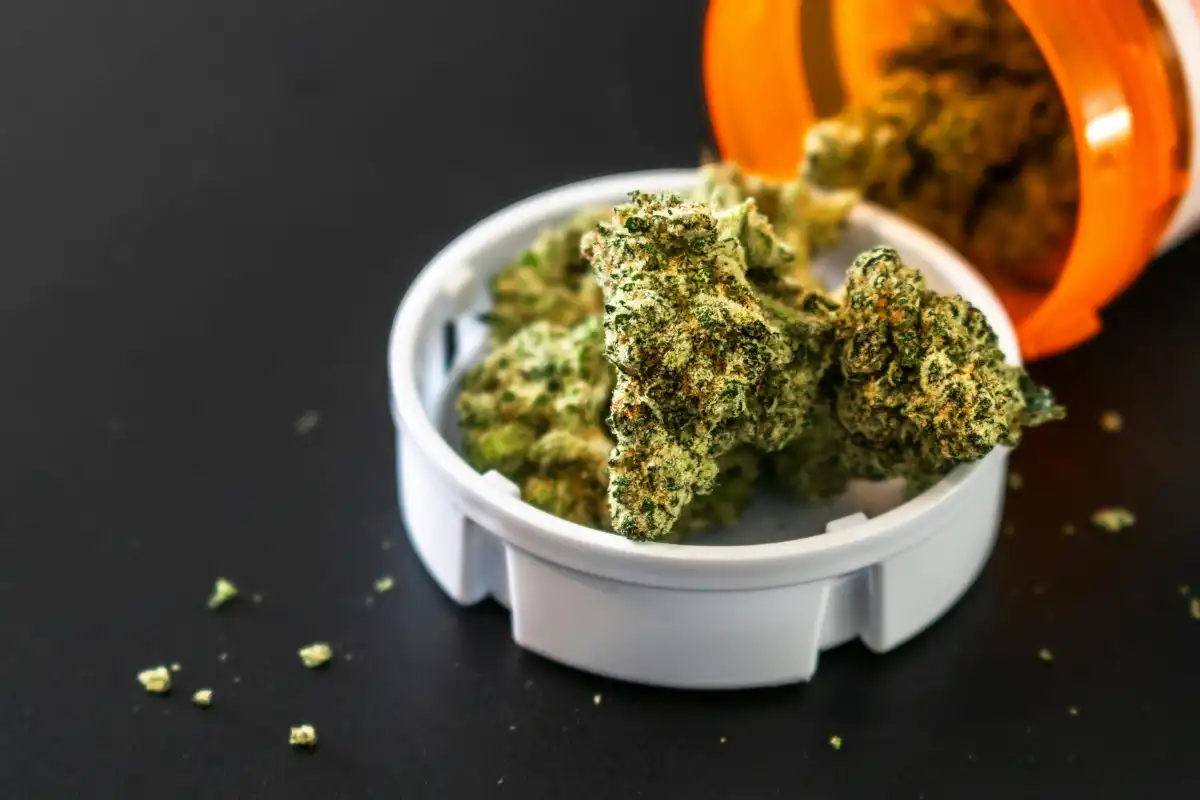 marijuana
