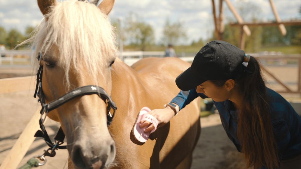 Female grooming the horse as part of equine therapy in addiction recovery