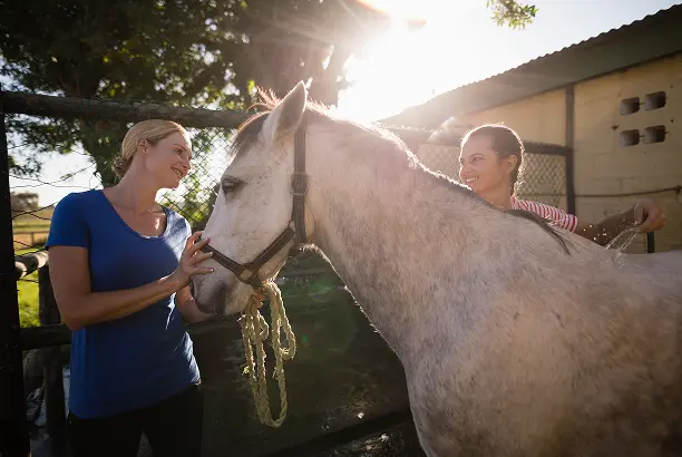 equine therapy img - Addiction Treatment at Reviving You Recovery