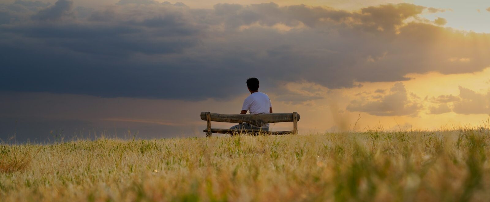 Man sitting alone on a bench in a golden field, considering addiction treatment options